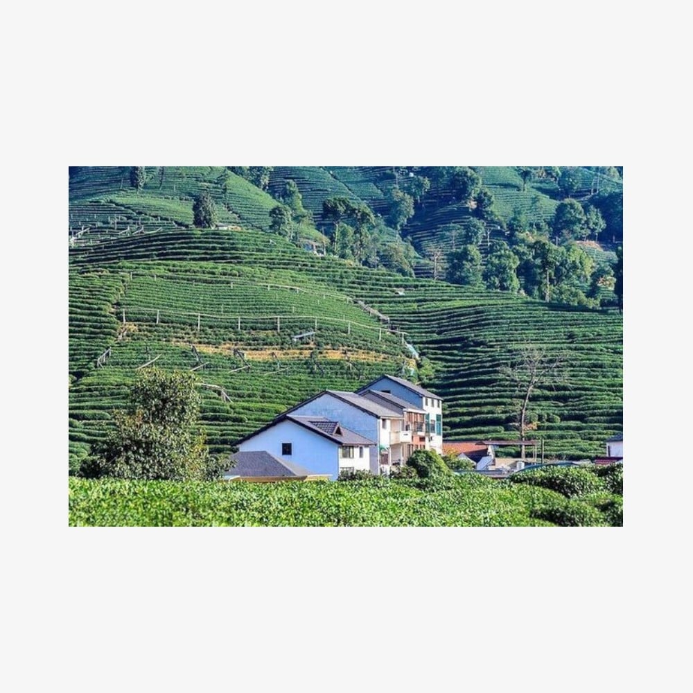 Hangzhou-Private-Tour-Photoroom