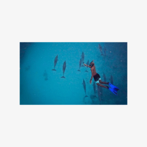 Lydia Boat Mauritius :Private boat tour:Whales&Dolphins encounter