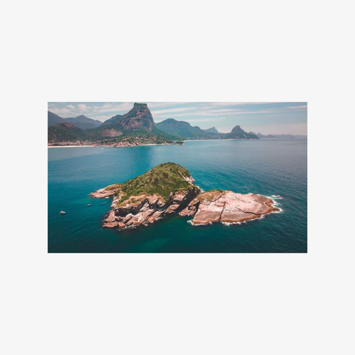 Snorkeling_with_Turtles_Whale_Watching_Experience